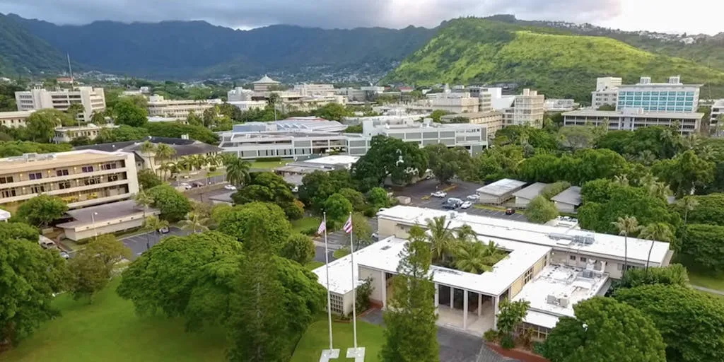 U Of Hawaii Transfer Student 1732049633