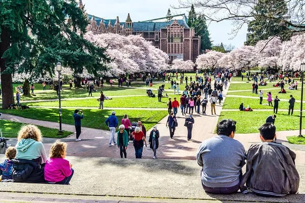 University Of Washington GettyImages Edit
