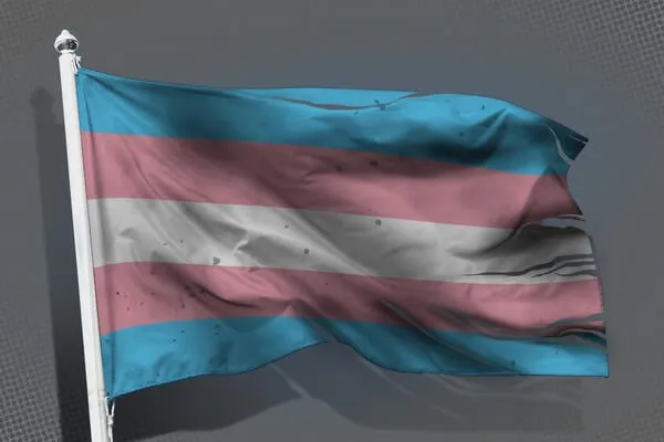 Distressed Trans Flag