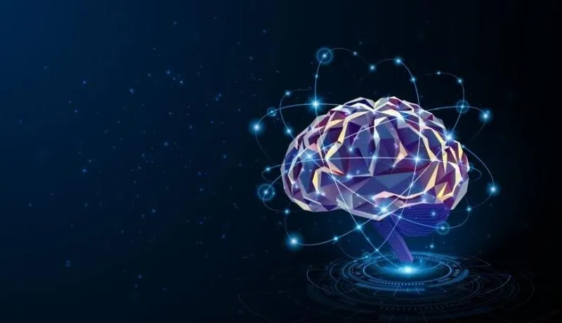 Shutterstock 2524568205