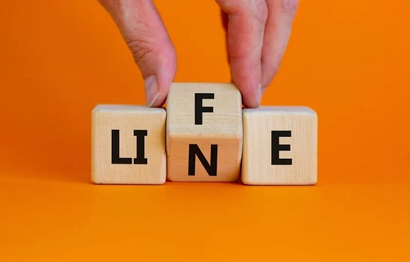 Shutterstock 2061259754 1765656963